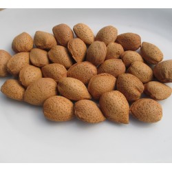 MANDORLE